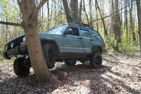 tree climbing