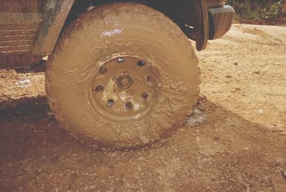 Mud and pig feces(on an old pork farm)