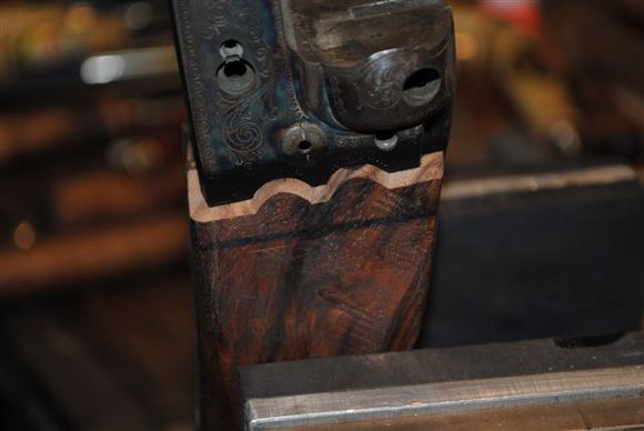 Stock 006