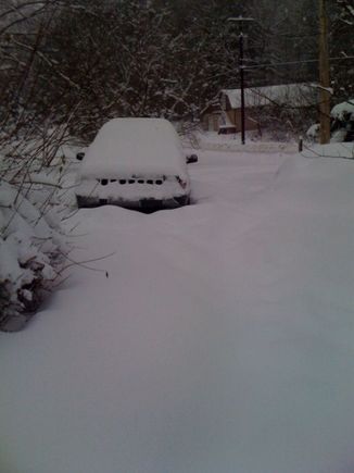 photo4