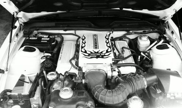 IMAG0426 1 Engine on my '05 Mustang GT