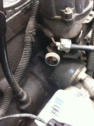 Oil pressure switch that was broken off.