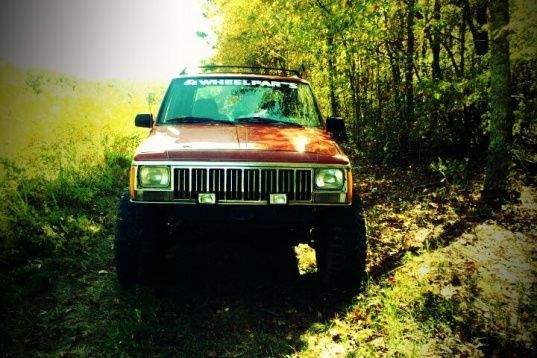 New fog lights