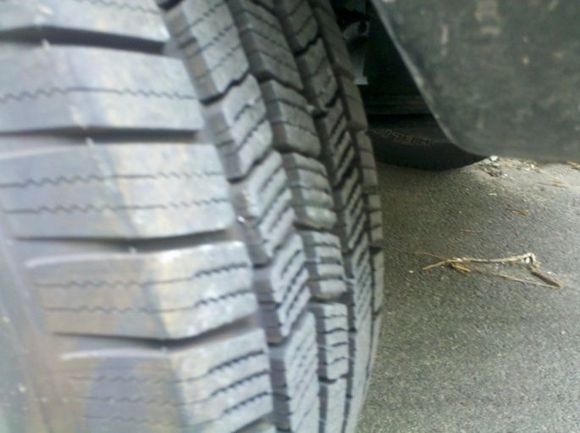 WTF did I drive thru?