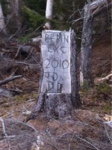 Idk quite what it says.. Found it up at the cell tower excursion in the wranglers.