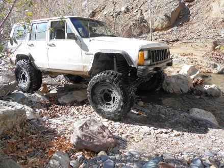 More of the trail in...