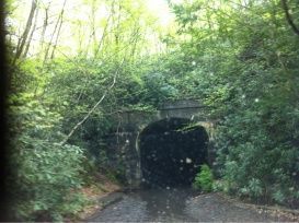 image 2579316572