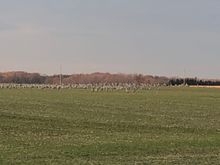 They are headed south for the winter 