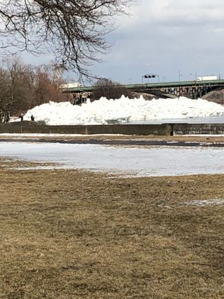 From Lakeshore road, that’s the Peace Bridge in the background and adult humans to the left