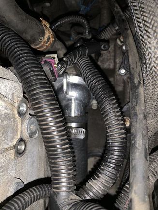 This is the housing from a 2007 , note there is no provision for a heat hose to go to an oil cooler or get capped off and potentially leak coolant 