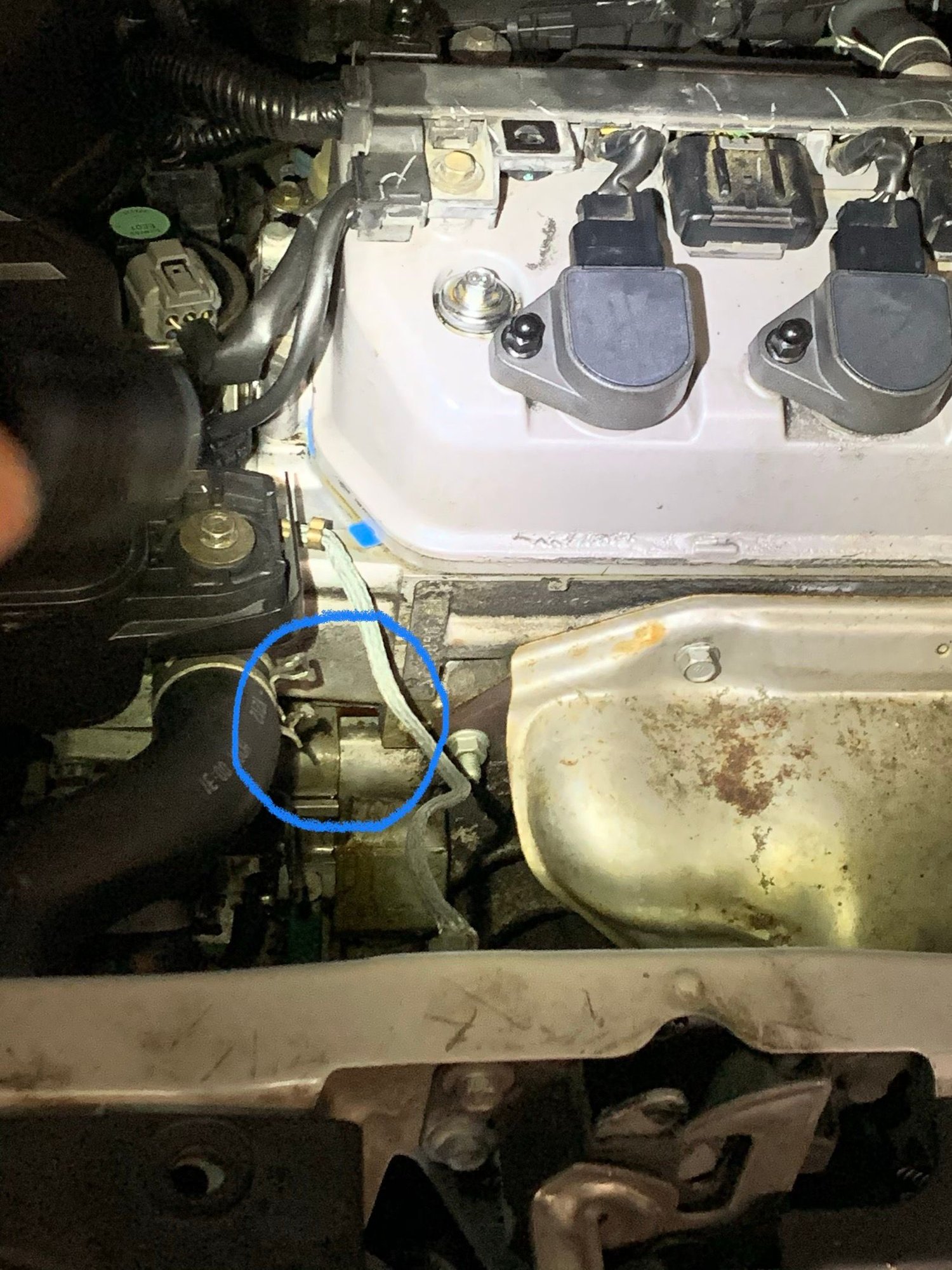 coolant gasket leak