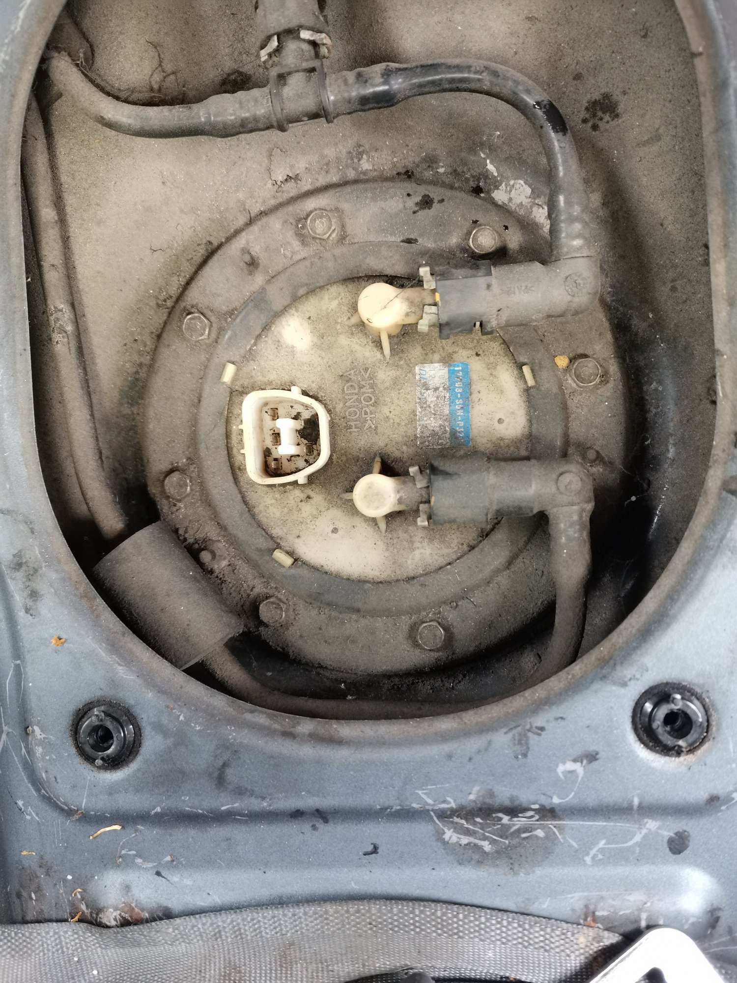 Rough idle after replacing fuel pump Honda Civic Forum