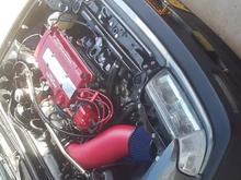 20161016 160133
The beast beneath  the bonnet.