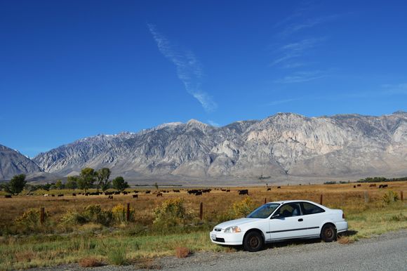 Rest stop on US 395 South of Mammoth and North of Bishop.