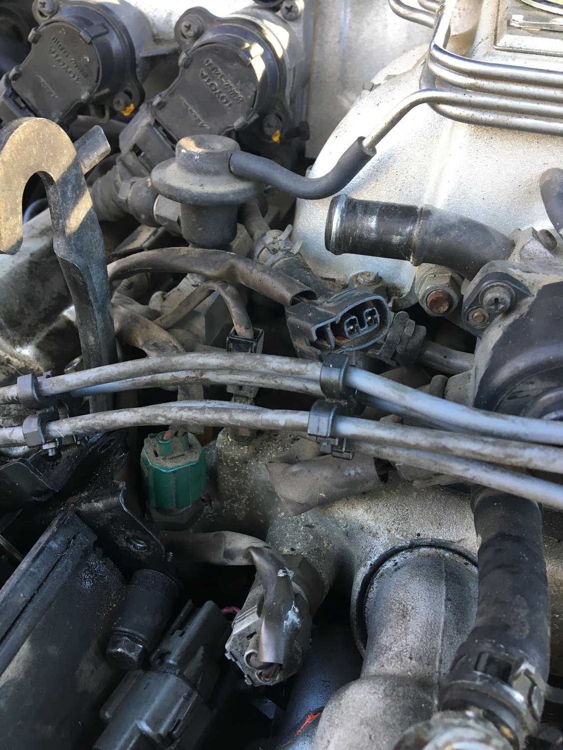 Reusing timing belt tensioner? Only 45 days old ClubLexus Lexus