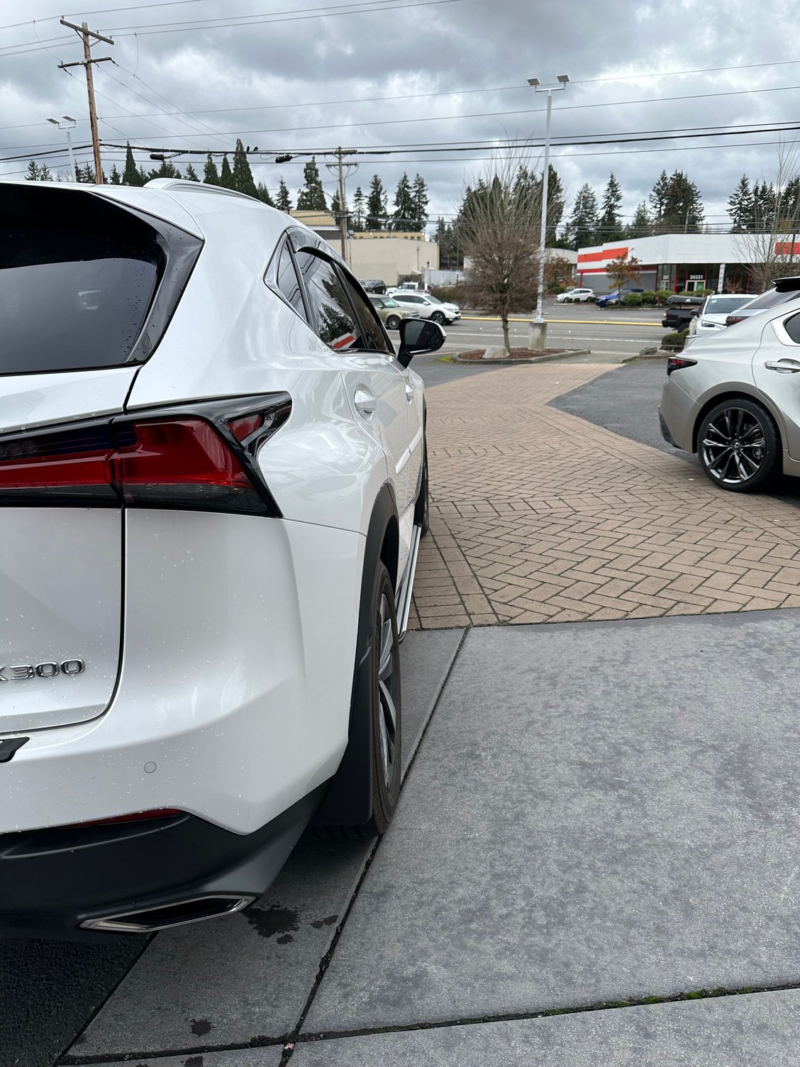 The window visors/rain guards look sleek and the running boards don�t stick out as it would seem from the first pic.