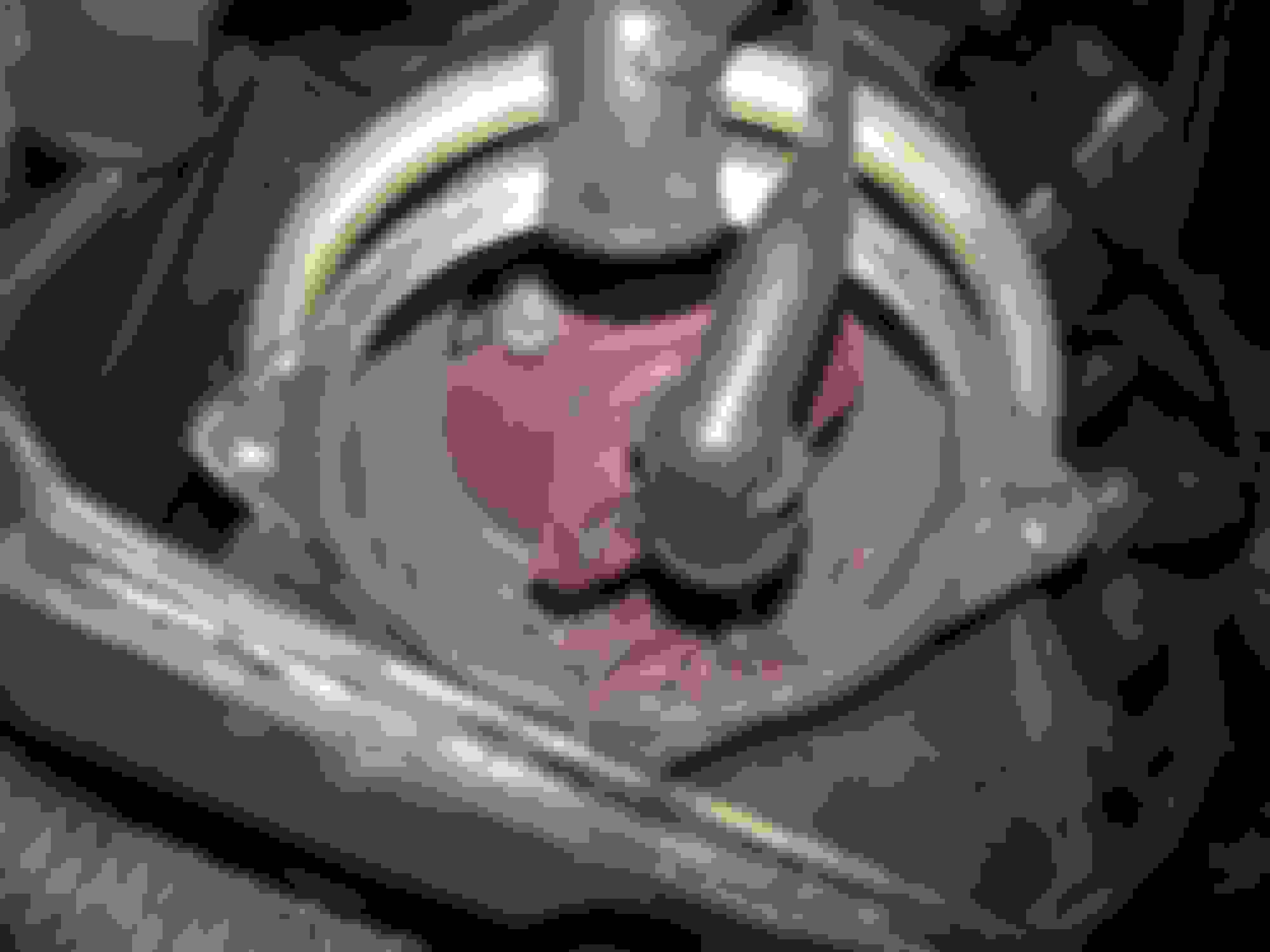 Defective distributor rotor? ClubLexus Lexus Forum Discussion