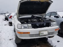 This one is especially dreadful - it's a 1989–1994 Lexus LS400. There is not a lot of them left as it is, and even worse, it doesn't look like a beater, the exterior and the interior are in relatively good condition. Even if it is the engine or transmission that gave out, it had some life left in it at the moment of unavoidable. But now, it is there for good..