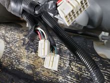 Amp harness connectors.