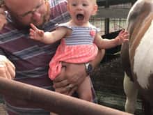 She's so excited to see a horse up close on our friends ranch in UT