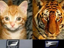 In all seriousness it depends what type of ride you're looking for...
V6 vs V8 5quarts vs 10quarts oil
The F is a real thirsty beast when it comes to fuel! Many don't take into account but you're going to get acquainted with the fuel station very quickly. Brakes and tires are a must and depending how you drive, you'll be replacing rears more often.