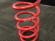 The front springs
