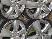 Rims held up to sunlight to show details