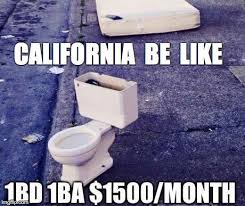 i believe most think of Cali and NYC like this for better or worse.