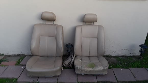 Driver and passenger seats. 