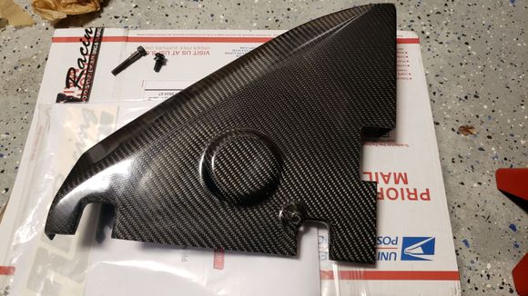 RR carbon fiber intake heat shield