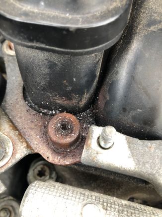 Rounded out hex cap bolt