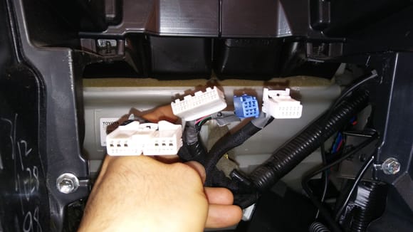 #3. TPM bundle. All connectors connect to PX3 harness.