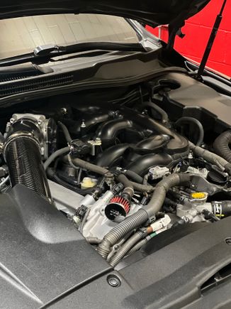 Engine bay looking clean :) 