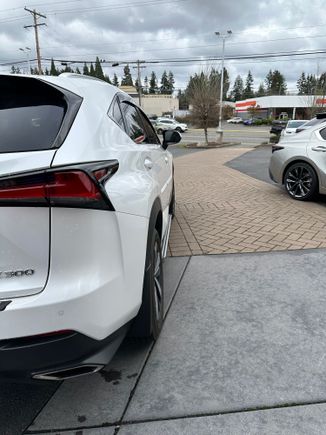 The window visors/rain guards look sleek and the running boards don’t stick out as it would seem from the first pic.