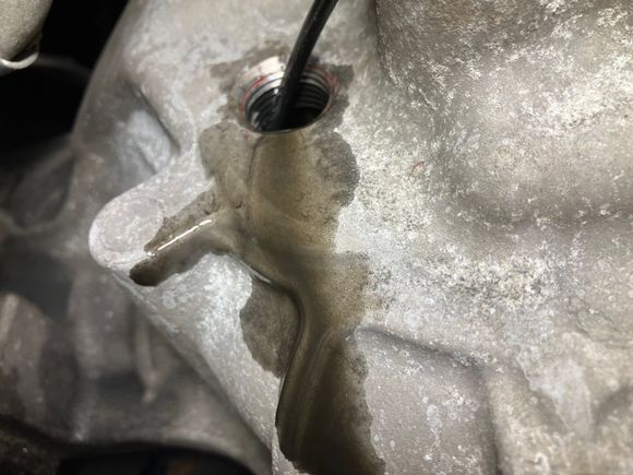 107k mile furd expedition front diff full O glitter and dark as oil at the fill plug just been opened. 