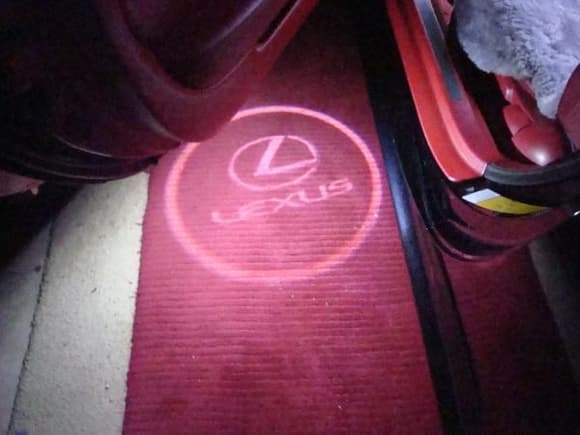 DSC02417
Projector Lexus logo in door panel