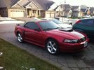 Just got it