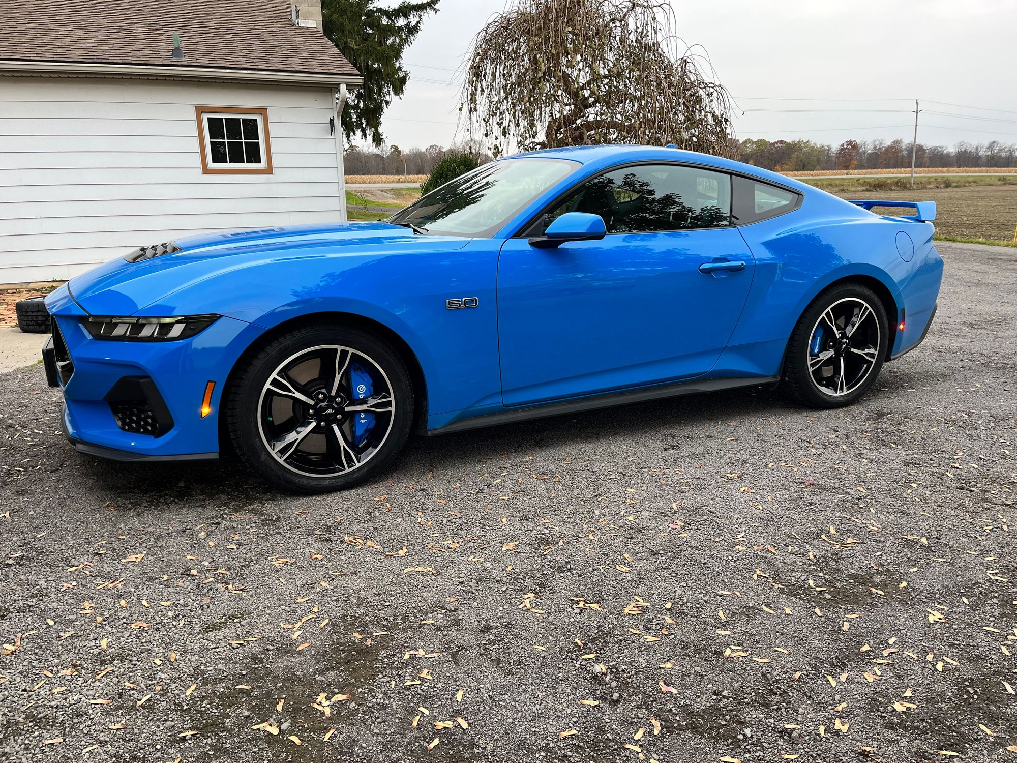 Here she is in her winter shoes