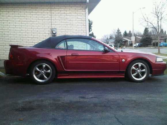 2004 stang