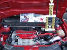 envy frenzy 08  184