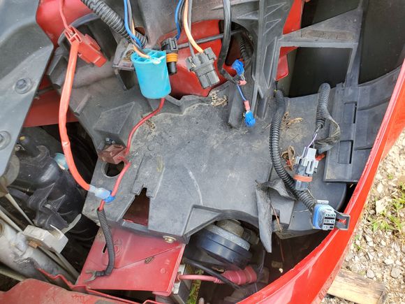 Heres the headlight wires ive got after i pulled the balast.
