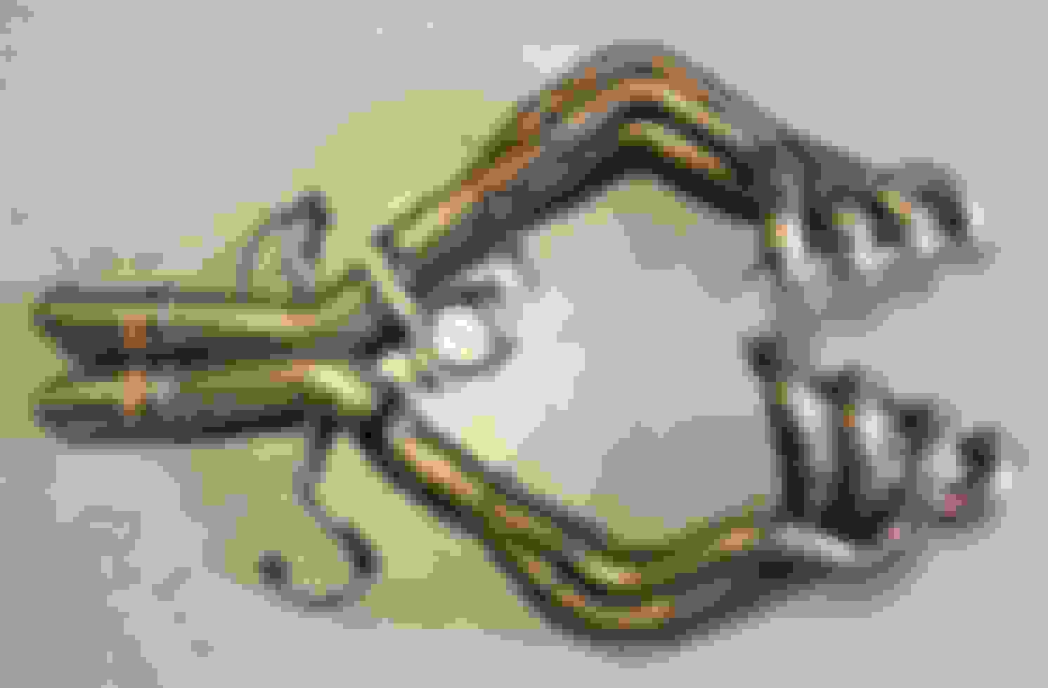 WTB (Want To Buy) C7 Z06 Headers Kooks/ARH/Corsa/SW/AFE CorvetteForum