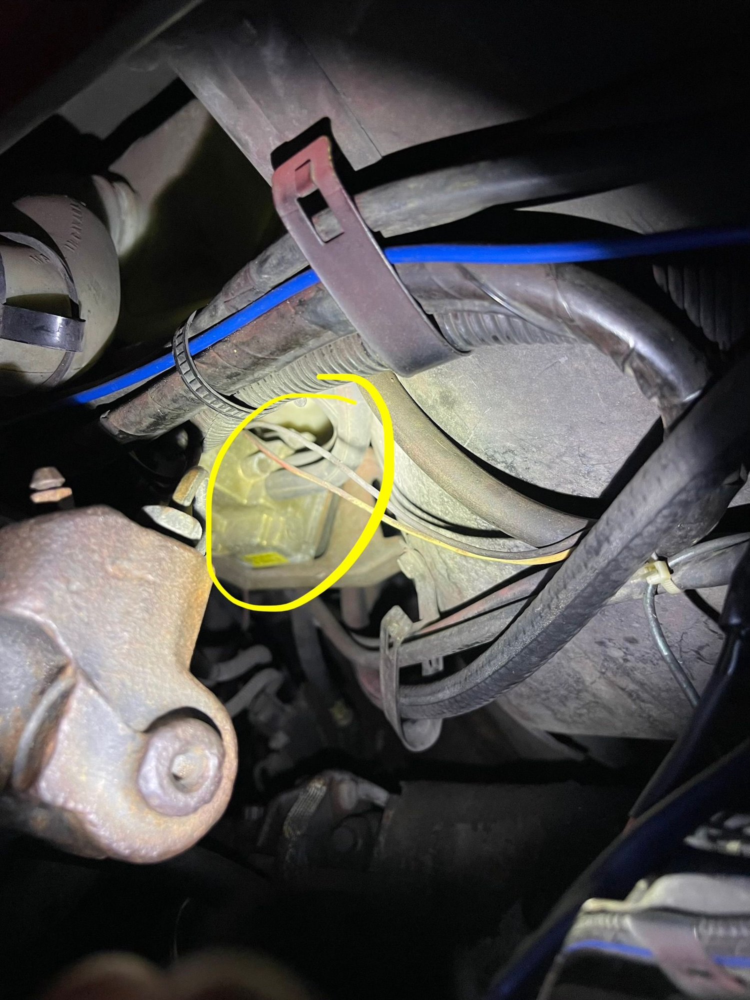 Comes from cruise control ports.