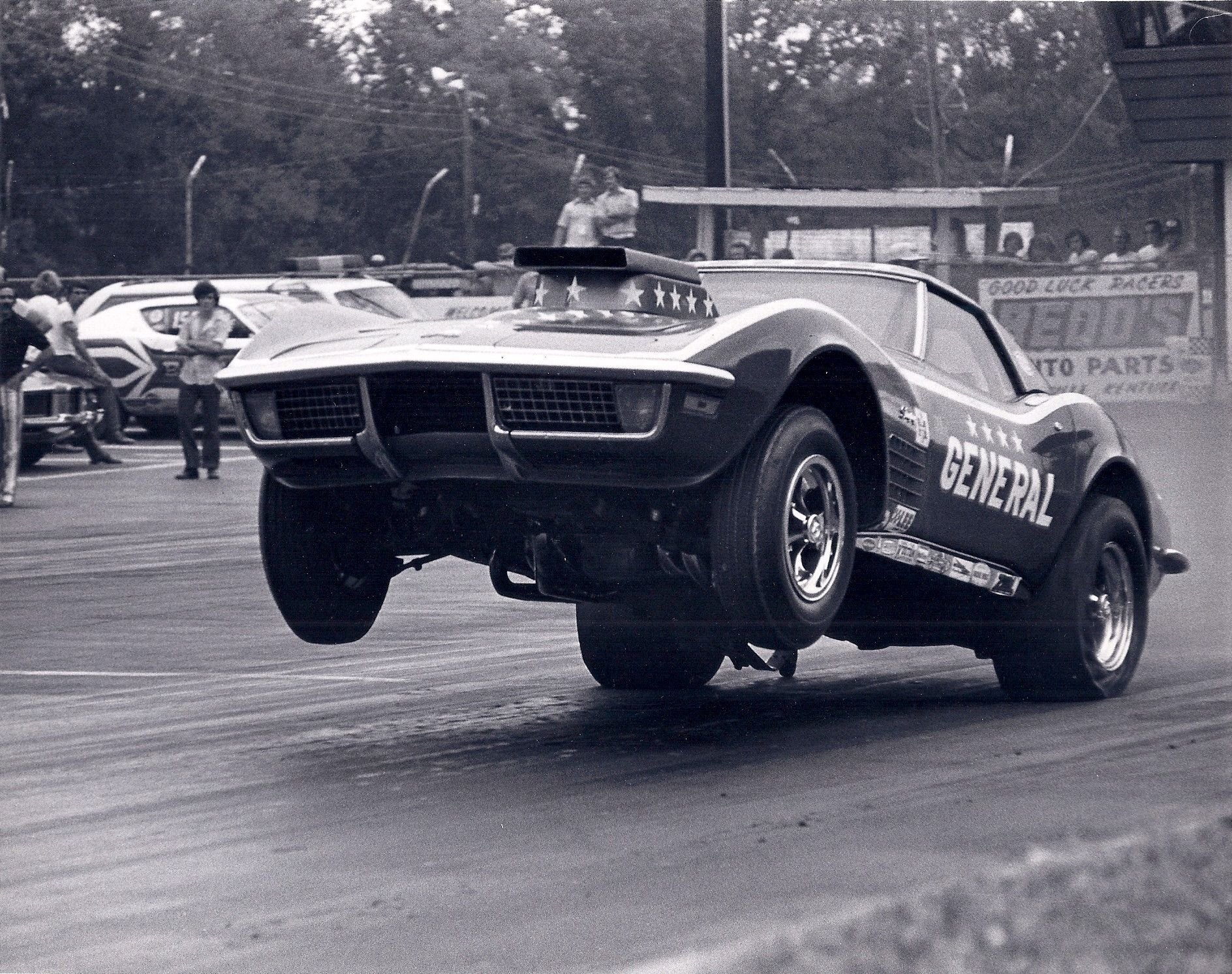 Pics of Sharks Popping Wheelies CorvetteForum Chevrolet Corvette