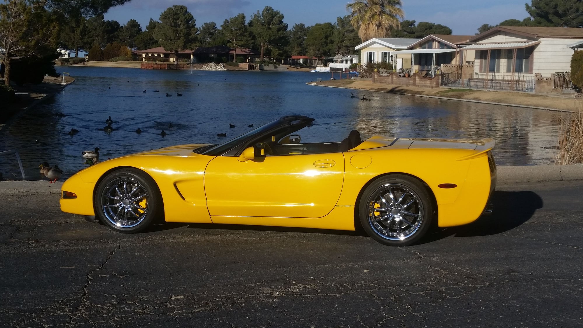 What do you think looks better on my mellenium yellow corvette, I did it on...