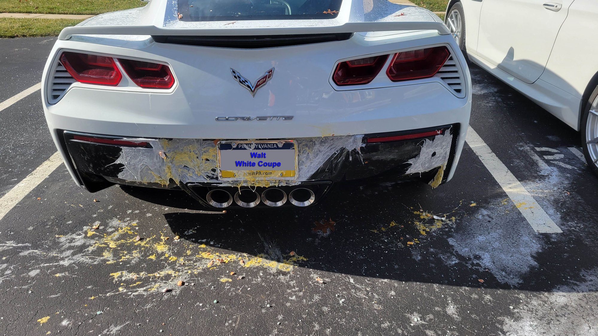 Anybody know how to get egg off of paint? Page 2 CorvetteForum