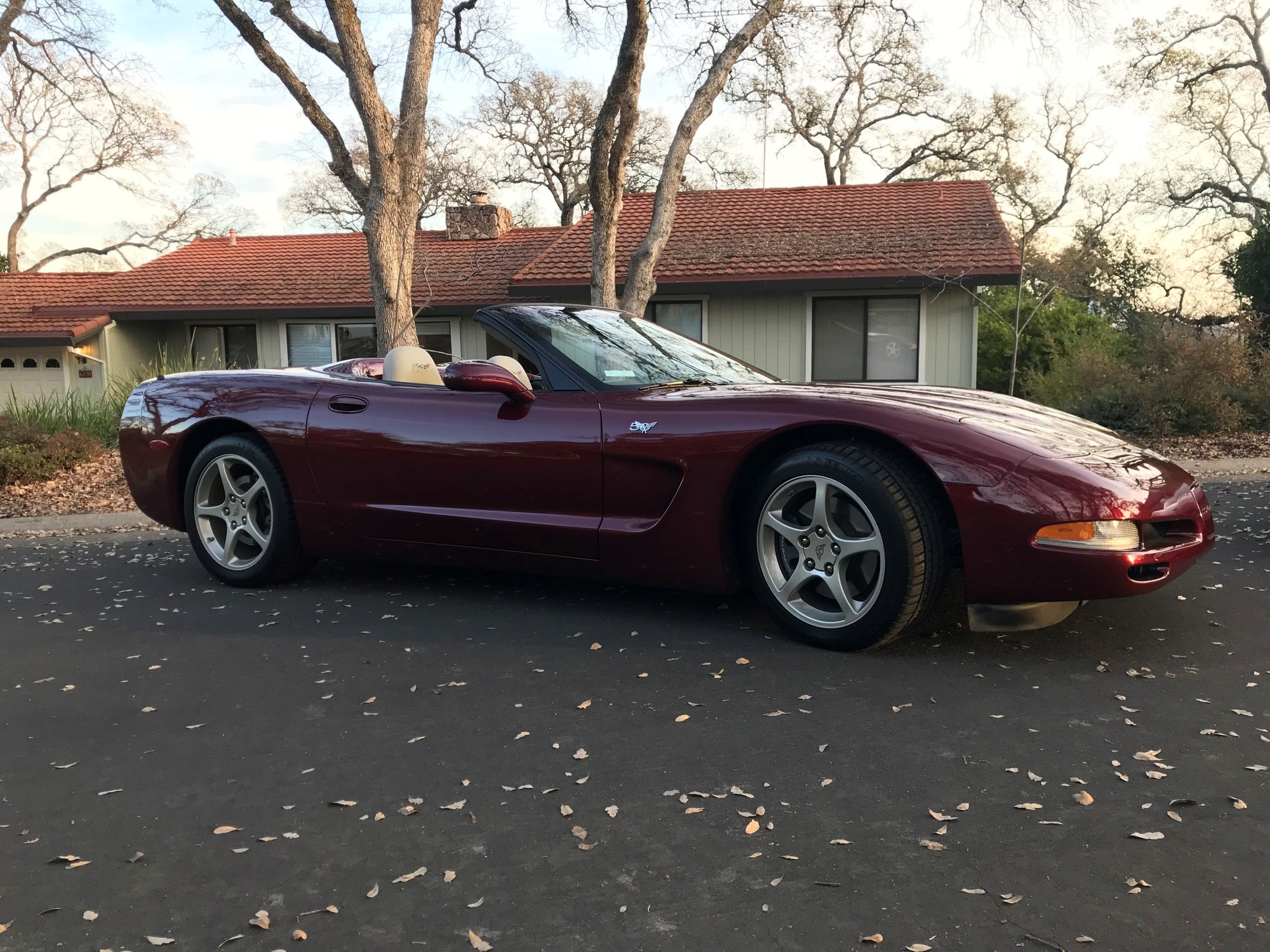 What Did You Do To Your C5 Today Page 33