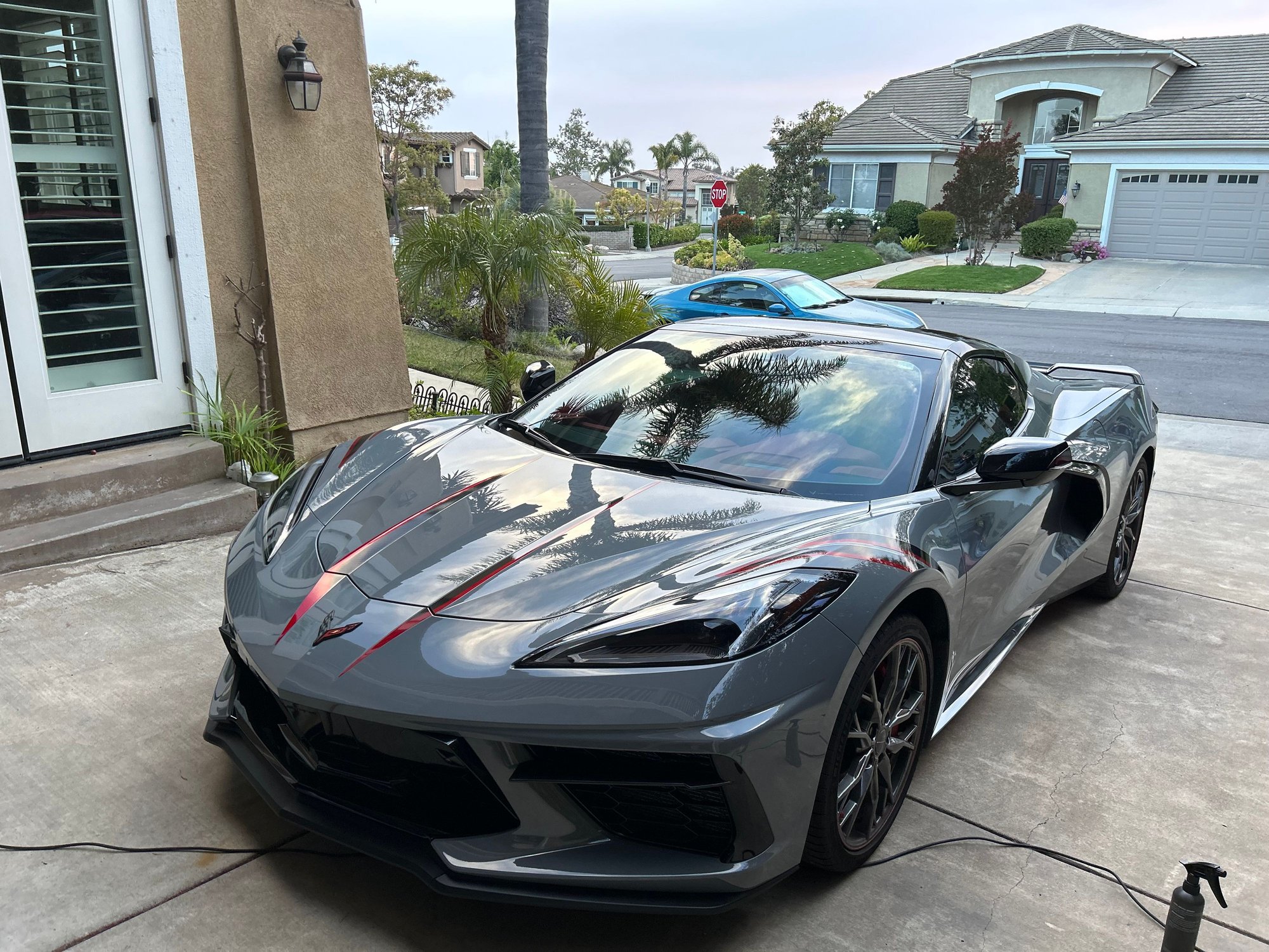 Stingray stripes with Xpel PPF on top