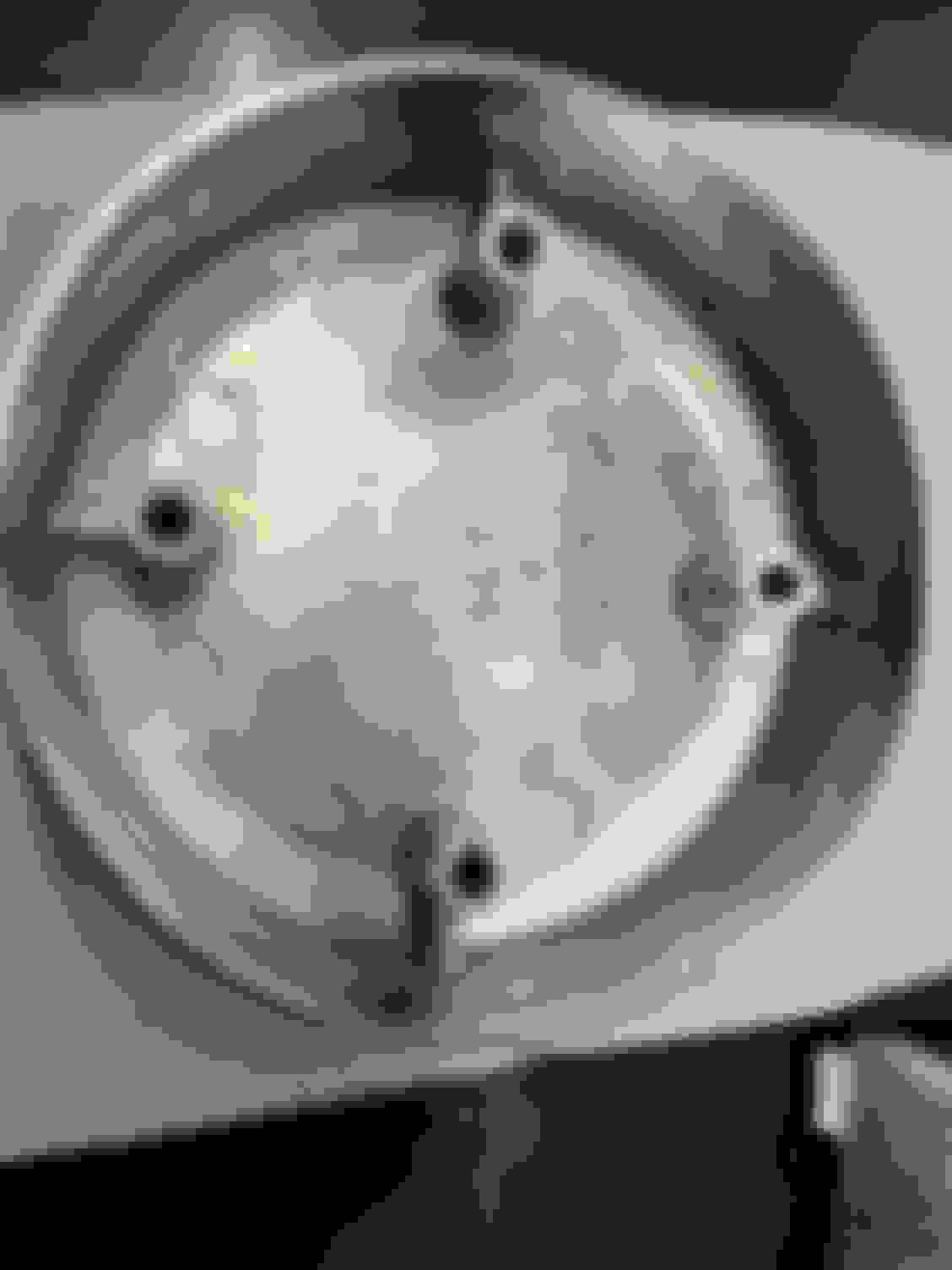 FS (For Sale) 1967 NOS GM Corvette Rally Wheel Disc Brake center cap