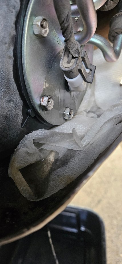 New Delphi pump assy leaking at Electrical bulkhead. Very noisy btw